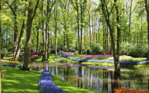 Keukenhof park